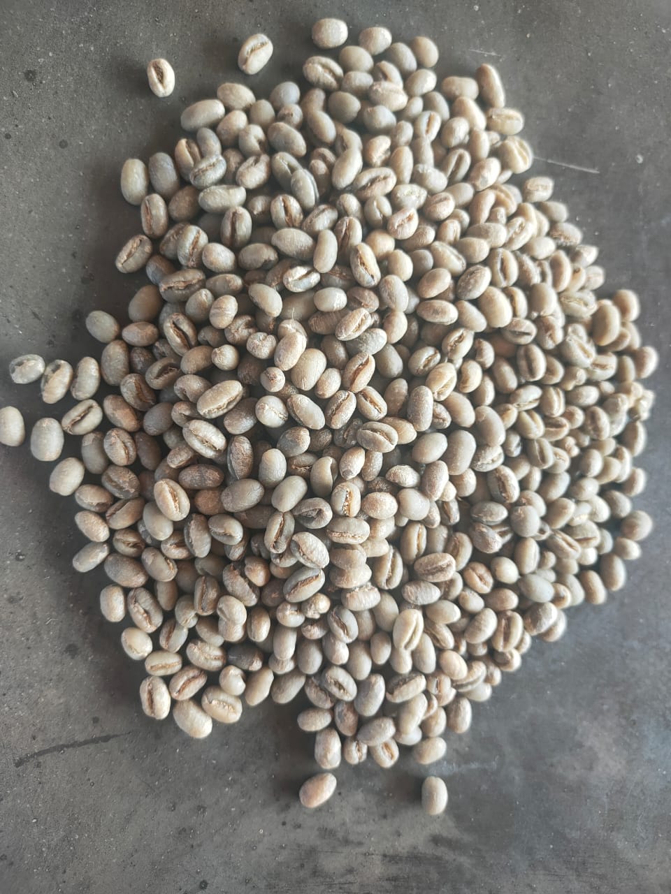 Green bean kopi Jantan/Peaberry Arabica