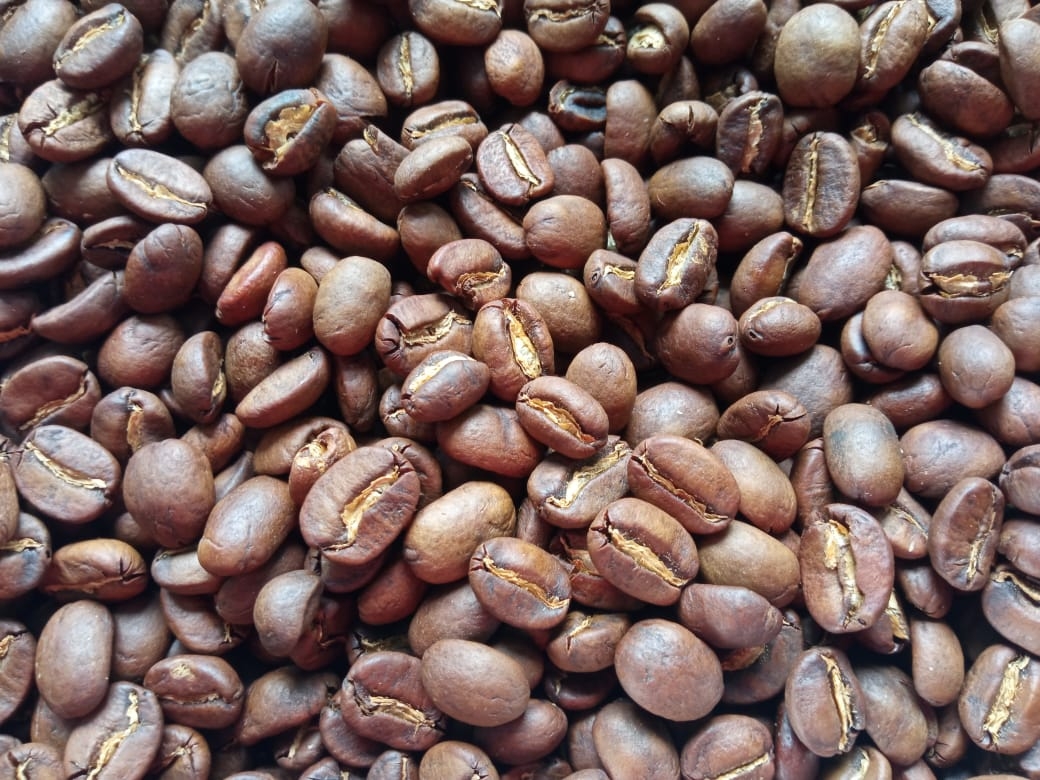 KOPI POKKO