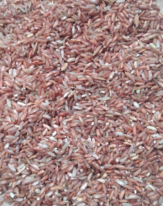 Beras Merah Lokal Toraja 2