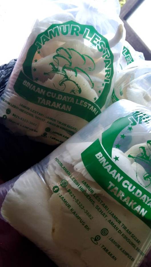 JAMUR TIRAM LESTARI