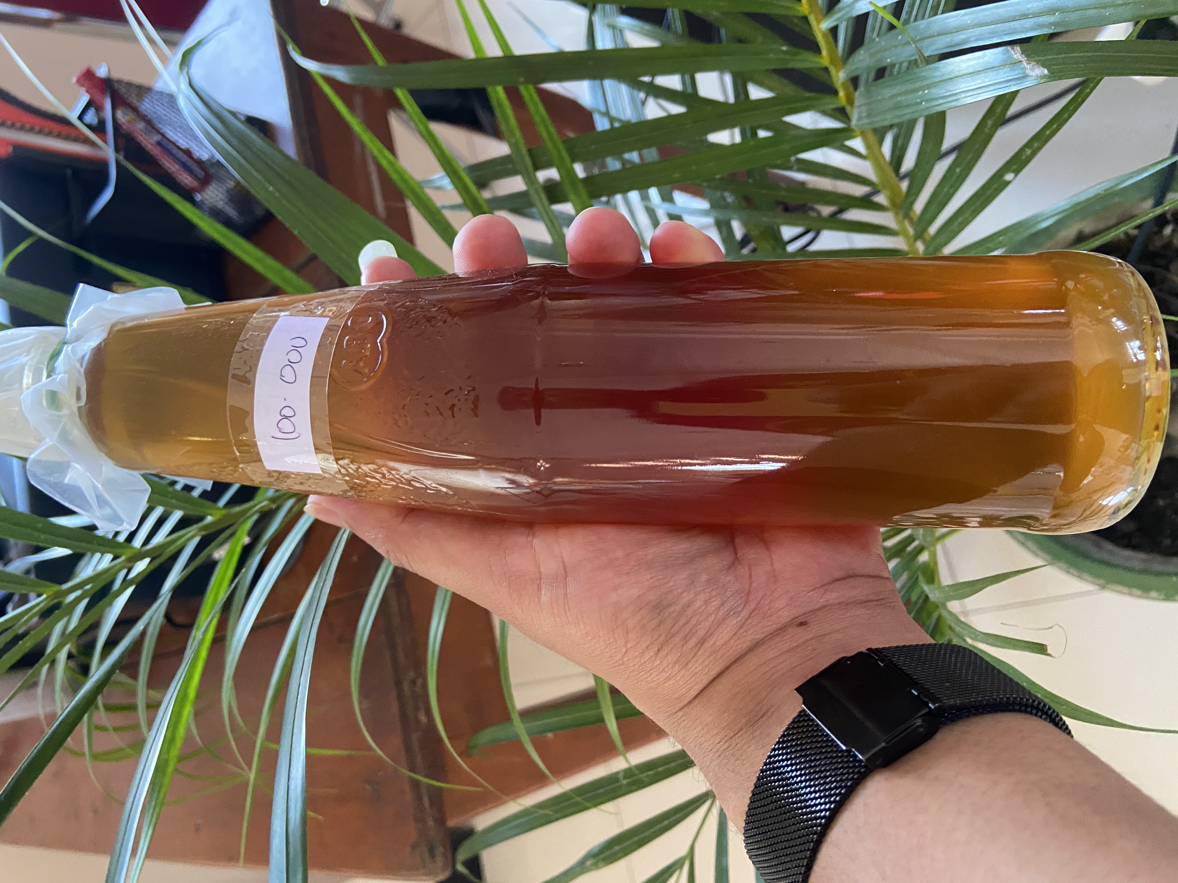 Madu Asli