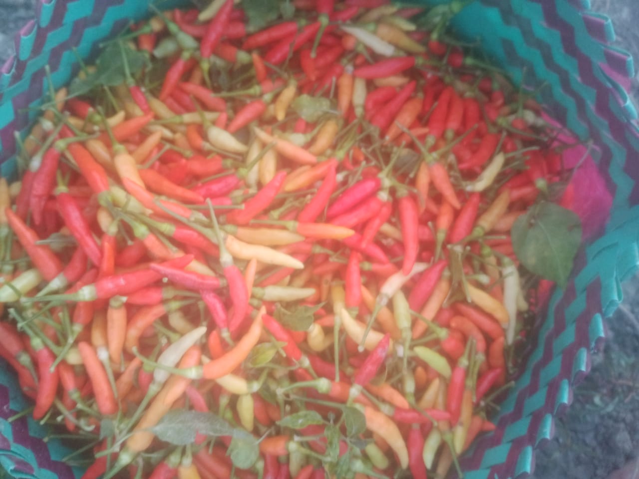 Cabe