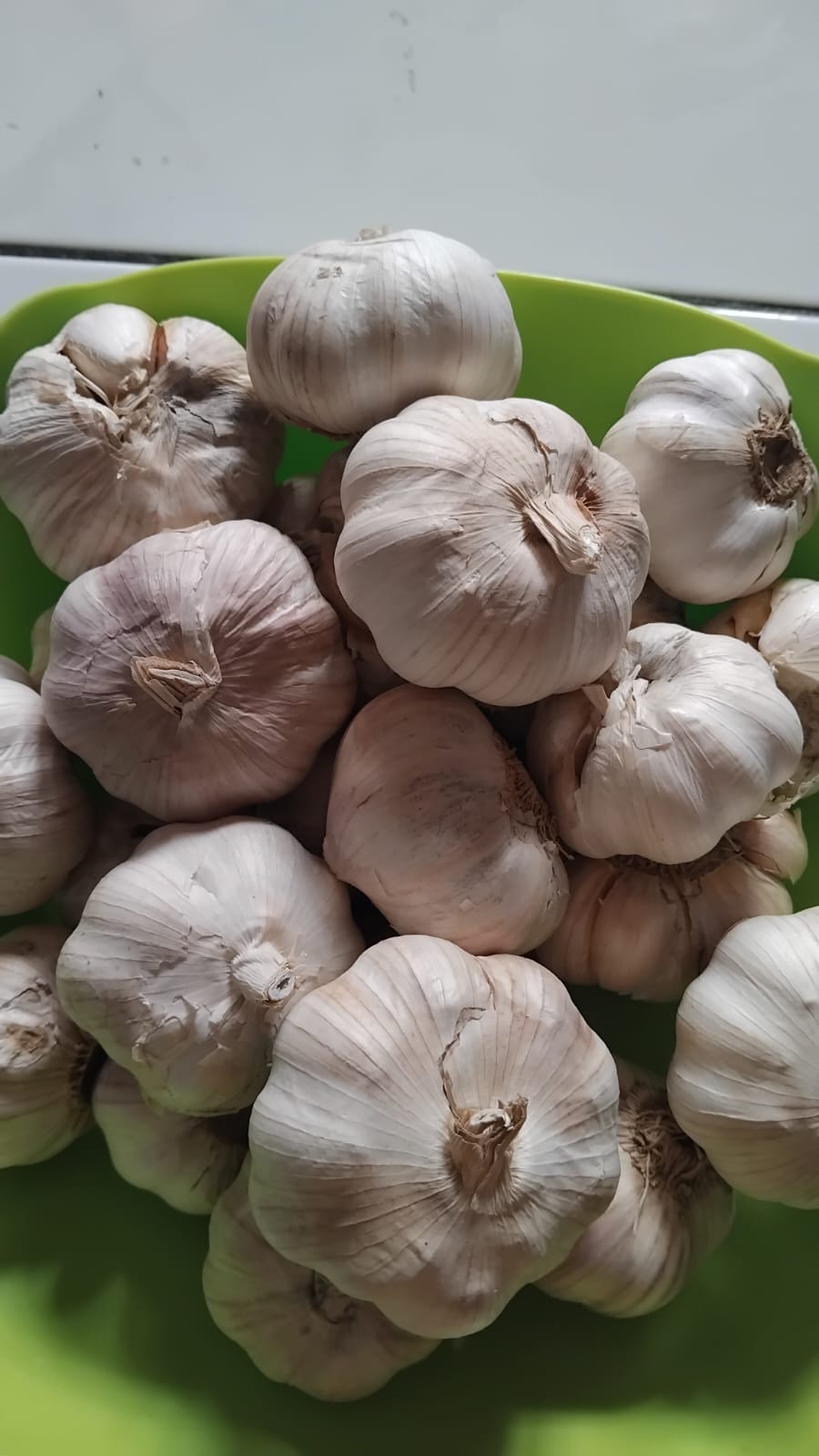 BAWANG PUTIH KENDARI