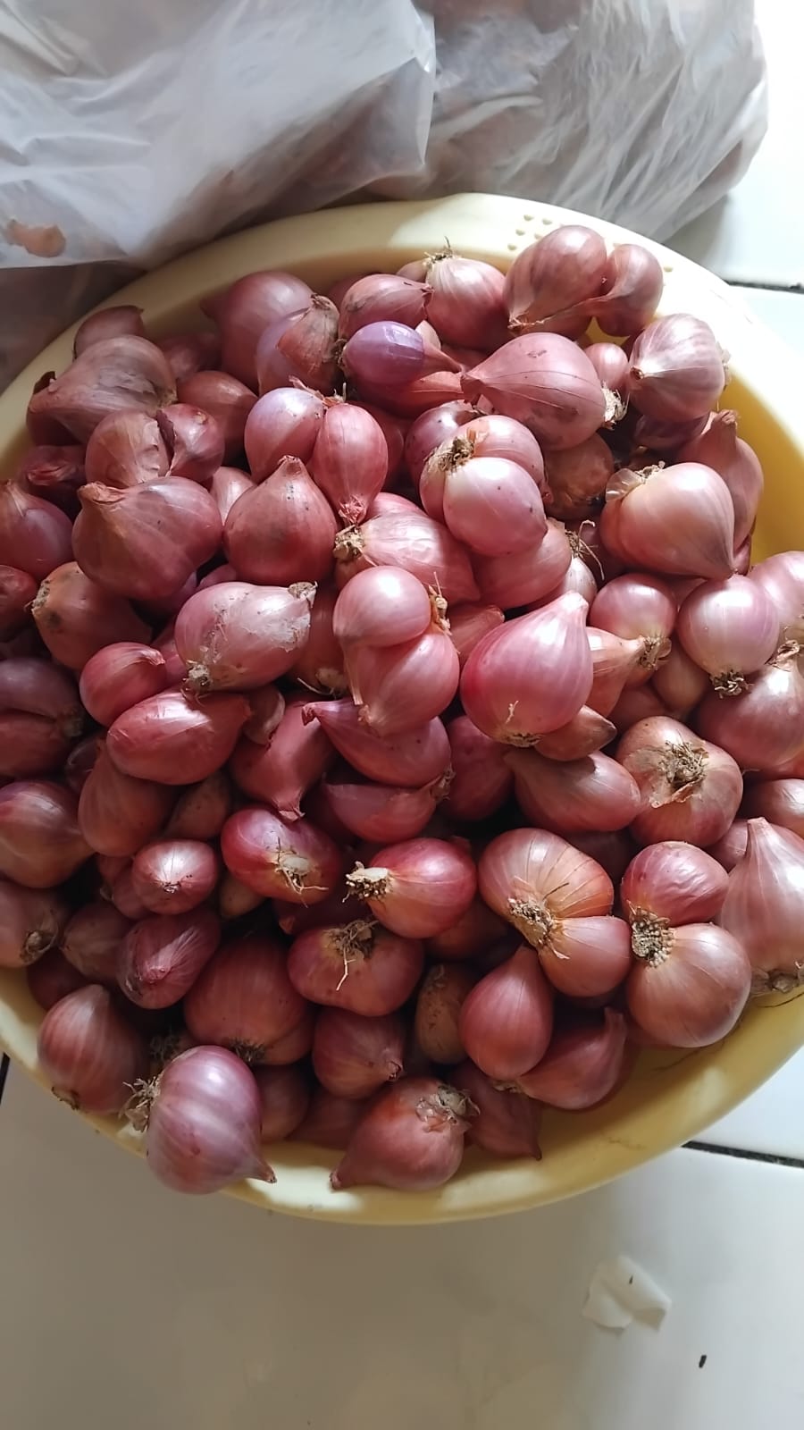 bawang merah kendari