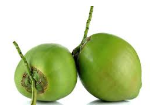 kelapa muda segar