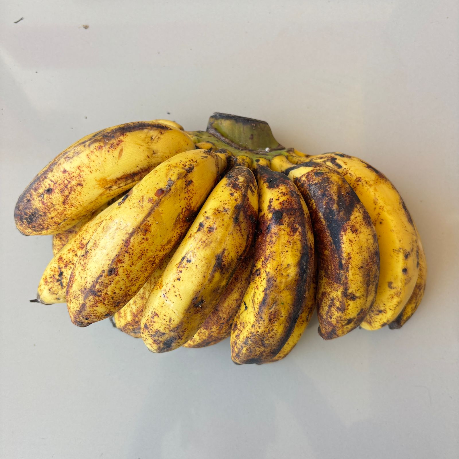 PISANG